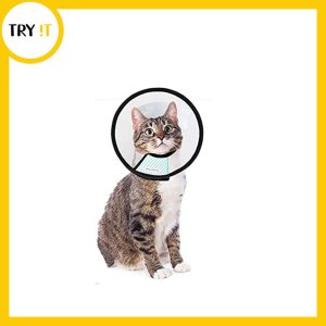 E Collar Cats Adult - For Cat & Kitten
