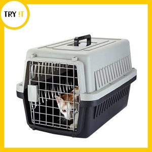 Jet Box Medium With Tray  - For Cat & Kitten