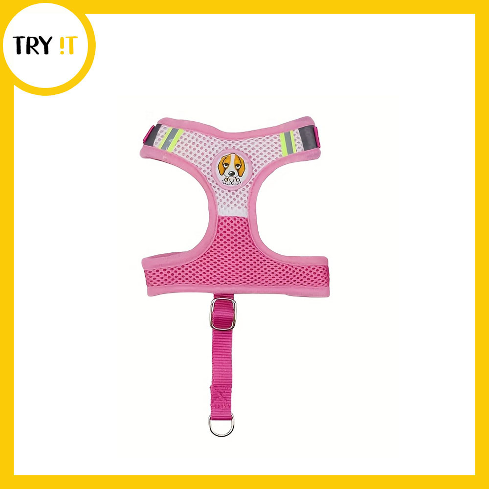 Cartoon Imported Harness + Leash Chester Msize - For Cat & Kitten