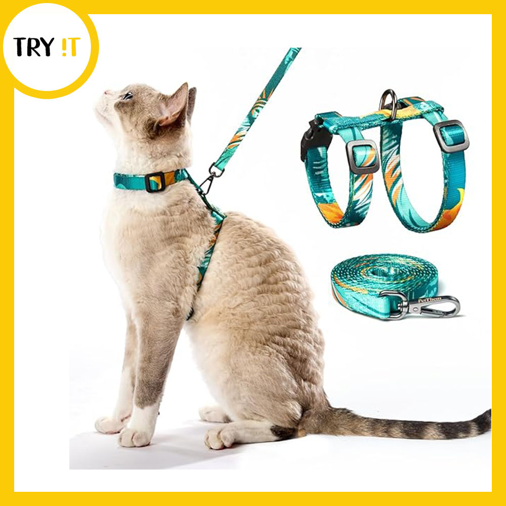 Cat Printed
12 Pcs Card Harness - For Cat & Kitten